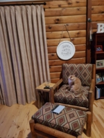 Capital cat